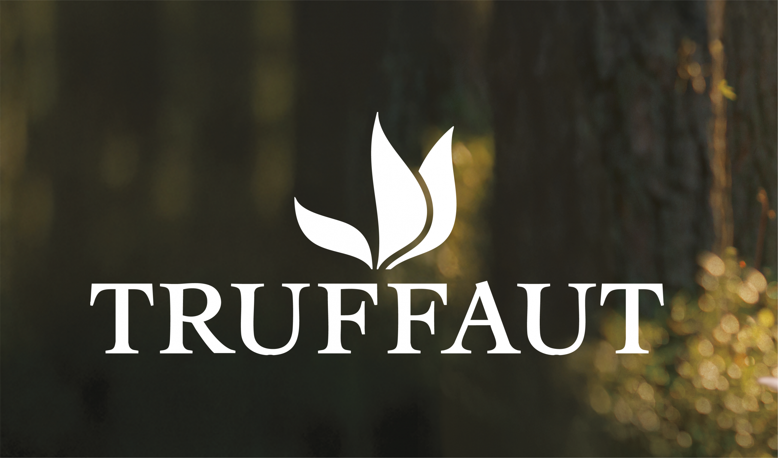 Réalisation pour Truffaut