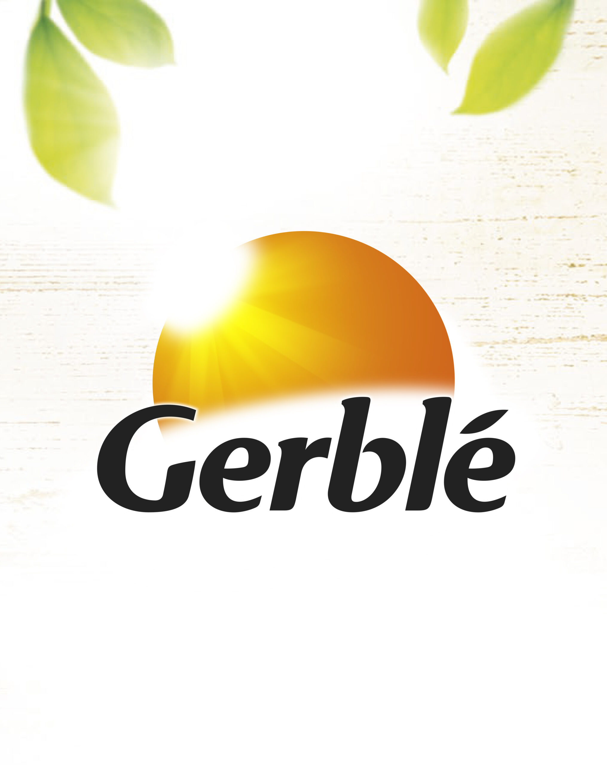 Réalisation pour Gerblé